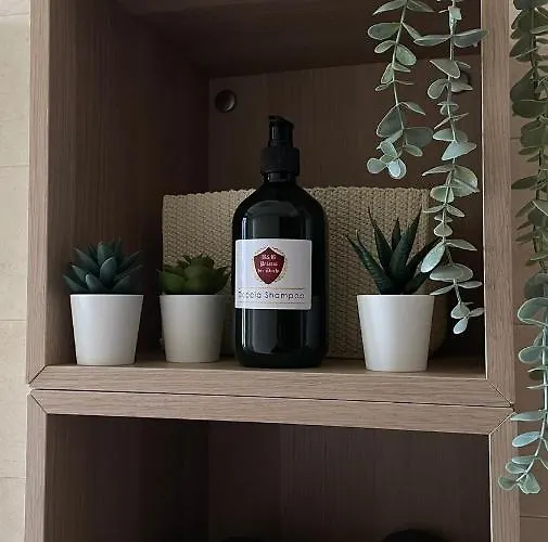 Palazzo Dei Duchi * アヴィリアーナ